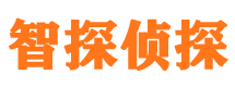 龙井侦探